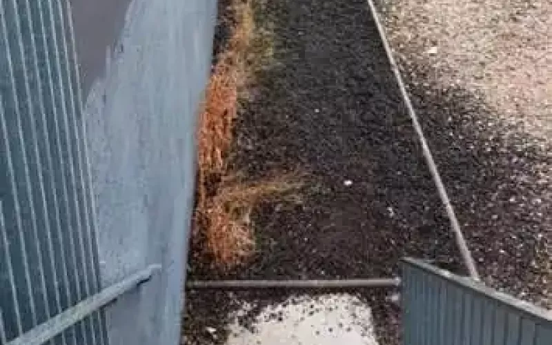 Antes   Reforma de acera en Parque Científico UVA