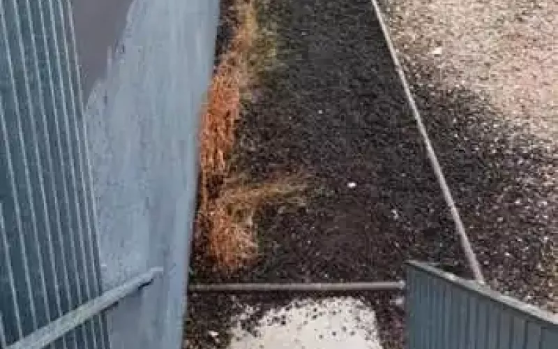 Antes   Reforma de acera en Parque Científico UVA